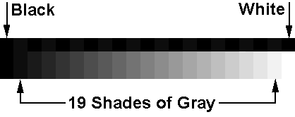 [ GRAY SCALE ]